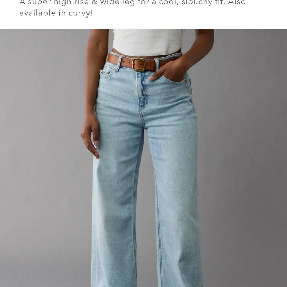 American Eagle Outfitters Blue Flare Wide Leg Jeans